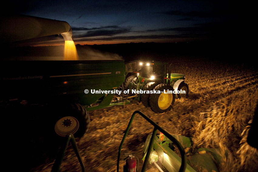 Corn harvest between Dorchester and York. October, 11, 2010.  Photo by Craig Chandler / University Communications