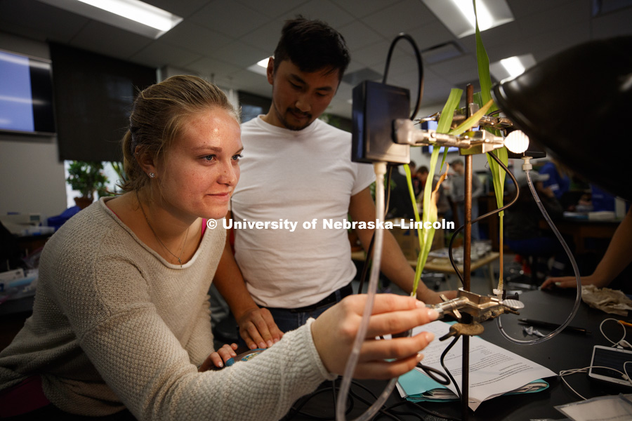 Jessica Fritson adjusts her plant rigged before a light to measure photosynthesis as graduate student Altangerel "Auggie" Tsogtsaikhan watches. Students in LIFE 121L - Fundamentals of Biology 2 Laboratory, taught by Altangerel "Auggie" Tsogtsaikhan,