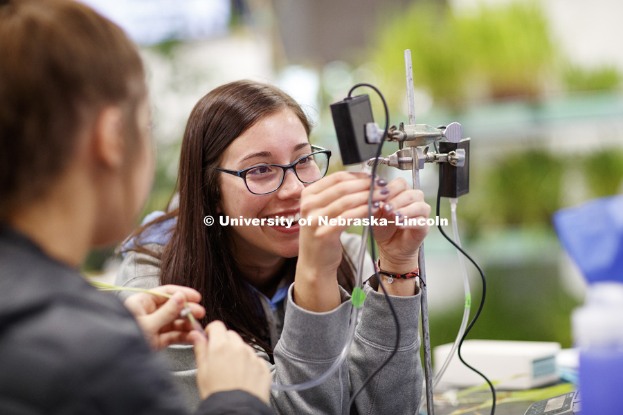 Allie Welniak attaches a tube to a photosynthesis meter while working on her group experiment. Students in LIFE 121L - Fundamentals of Biology 2 Laboratory, taught by Altangerel "Auggie" Tsogtsaikhan, graduate student in biological sciences, in Brace Lab.