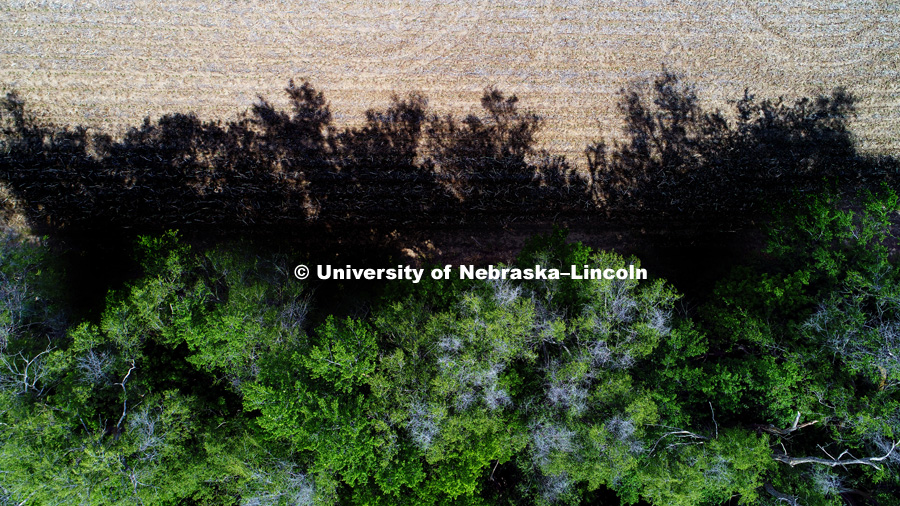 Architecture professors David and Sarah Karle have published a book researching the shelterbelts planted in the 1930s during the dust bowl. Their book focused on the Nebraska shelter belts. Aerials of shelterbelt southwest of Lincoln. May 16, 2017. Photo