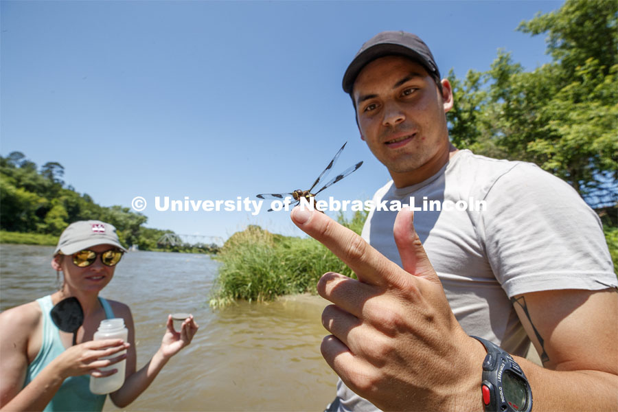 A dragonfly alights on Matthew Chen's finger as they take samples. Jessica Corman, assistant professor in the School of Natural Resources, UCARE research group researching algae in the Niobrara River. Fort Niobrara National Wildlife Refuge. July 12, 2019. Photo by Craig Chandler / University Communication.