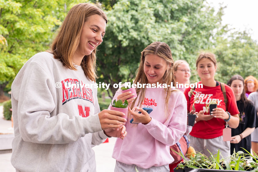 Students potting plants for their rooms at the Wellness Fest and Goat Yoga on the Nebraska Union green space. August 20, 2022. Photo by Jordan Opp for University Communication
