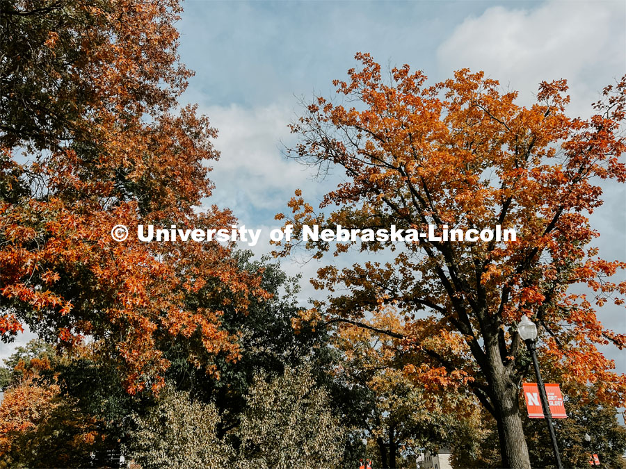 Fall on City Campus. November, 2022. Photos by Katie Black and Taylor DeMaro / University Communication.