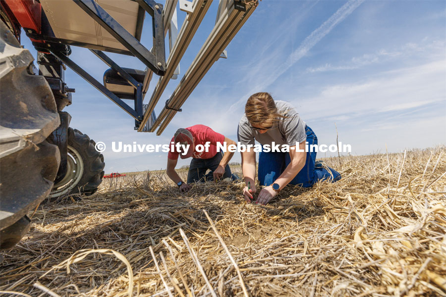 Graduate student Ian Tempelmeyer, left, and graduate research assistant Taylor Cross dig through the dirt to check for seed planting depth and spacing. The self-driving robotic planter based on Santosh Pitla’s tractor platform works its way through a field at the Rogers Memorial Farm east of Lincoln. April 27, 2023. Photo by Craig Chandler / University Communication.