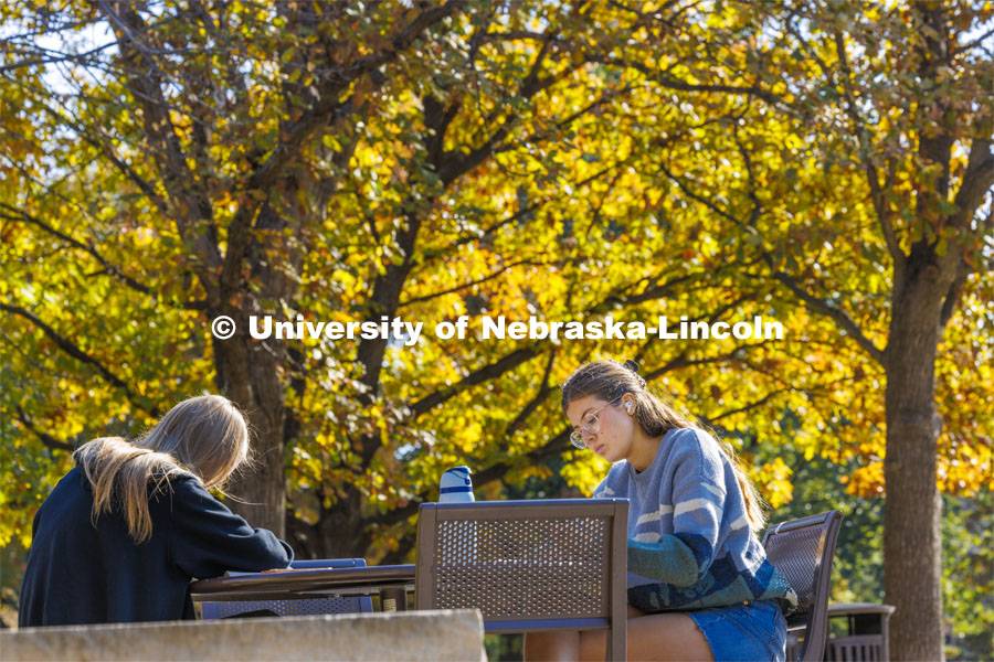 Josie Bartels, a junior from Lincoln, left, and Audrey Ellis, a sophomore from Fort Worth, Texas, study outside of the Adele Coryell Hall Learning Commons. Fall on city campus. November 7, 2023. Photo by Craig Chandler / University Communication and Marketing.
