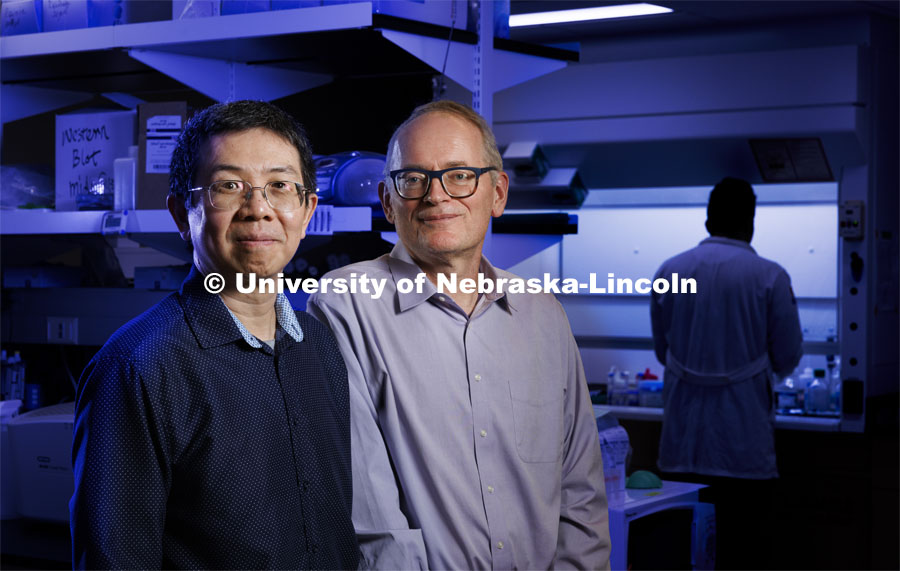 Jiantao Guo (left), professor of chemistry and director of the Nebraska Center for Integrated Biomolecular Communication (NCIBC), and Janos Zempleni, Willa Cather Professor of molecular nutrition and director of the Nebraska Center for the Prevention of Obesity Diseases (NPOD), were selected as Phase 1 winners in the National Institutes of Health’s (NIH) Targeted Genome Editor Delivery Challenge. With their $25,000 prize, they will advance development of universal milk exosomes — natural nanoparticles contained in milk — capable of transporting gene editors to any location in the body. January 31, 2024. Photo by Craig Chandler / University Communication and Marketing.