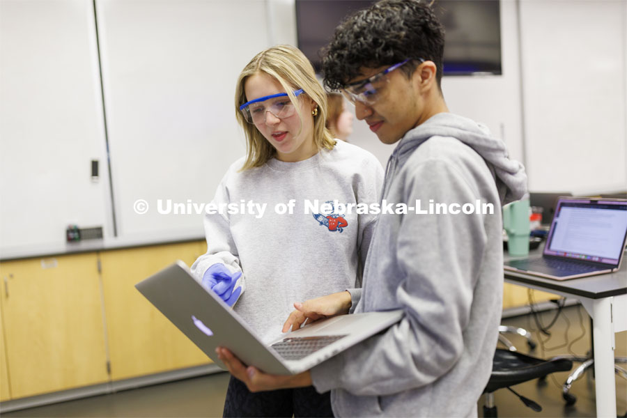 Biology students read their experiment notes on a laptop. LIFE 120L - Fundamentals of Biology lab in Manter Hall. February 22, 2024. Photo by Craig Chandler / University Communication and Marketing.