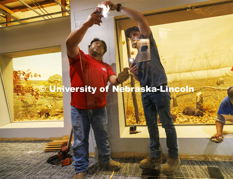 Workers with Lincoln Glass use the lights on their phones to help find fingerprints in the new glass they are installing in front of the exhibits in Morrill Hall. Workers are rushing to finish renovations to improve accessibility and better protect its exhibits and research specimens so the University of Nebraska State Museum and Mueller Planetarium can reopen to the public on March 15, 2024. March 4, 2024. Photo by Craig Chandler / University Communication and Marketing.