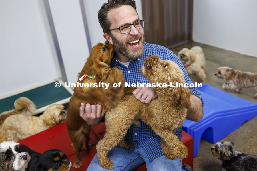 Jeffrey Stevens, Professor of Psychology, is working with the ManyDogs consortium, a world-wide group seeking to have larger sets of canine data. Stevens is surrounded by a large set of small dogs not being studied at Camp Bow Wow. March 14, 2024. Photo by Craig Chandler / University Communication and Marketing.