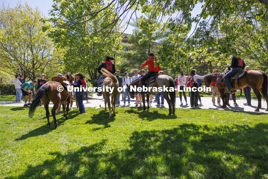 The Nebraska Rodeo Team gave Huskers a chance to be up close to their horses and even go for a ride. The team filled the space northwest of the Union to help promote their Nebraska Cornhusker College Rodeo being held Friday and Saturday. April 29, 2024. Photo by Craig Chandler / University Communication and Marketing.