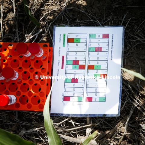 James Alfano Plant Science Innovation lab working on soil and root sampling in fields at ENREC. June 13, 2018. Photo by Craig Chandler / University Communication