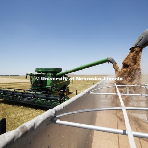 Wheat Harvest in Perkins County Nebraska. July 10, 2018. Photo by Craig Chandler / University Communication.