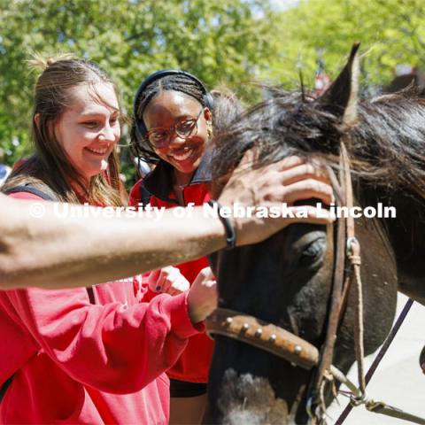 Kyrnlie Simpson and her friend, Ophelie Wilson pet a horse Monday afternoon. The Nebraska Rodeo Team gave Huskers a chance to be up close to their horses and even go for a ride. The team filled the space northwest of the Union to help promote their Nebraska Cornhusker College Rodeo being held Friday and Saturday. April 29, 2024. Photo by Craig Chandler / University Communication and Marketing.