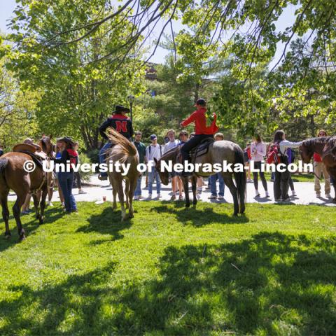The Nebraska Rodeo Team gave Huskers a chance to be up close to their horses and even go for a ride. The team filled the space northwest of the Union to help promote their Nebraska Cornhusker College Rodeo being held Friday and Saturday. April 29, 2024. Photo by Craig Chandler / University Communication and Marketing.