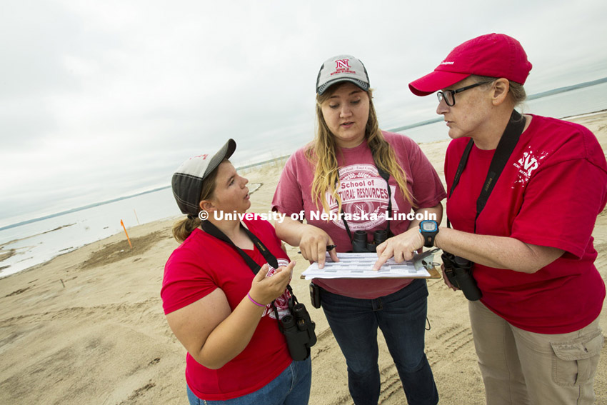 Peyton Burt, red shirt, and Jessica Tramp, pink shirt, discuss Piping Plovers habitat with Professor Mary Bomberger Brown. The students are researching how the federally protected birds interact with campers and boaters along the Lake McConaughy shore line. Cedar Point Biological Station.  May 27, 2015  Photo by Craig Chandler/University Communications