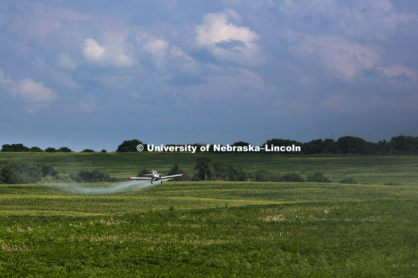 Aerial spraying above corn and soybean fields southeast of Lincoln. July 27, 2015. Photo by Craig Chandler / University Communications
