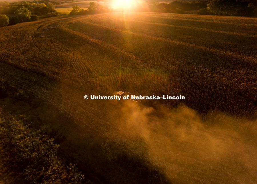 Corn Harvest. September 27, 2016. Photo by Craig Chandler / University Communication.