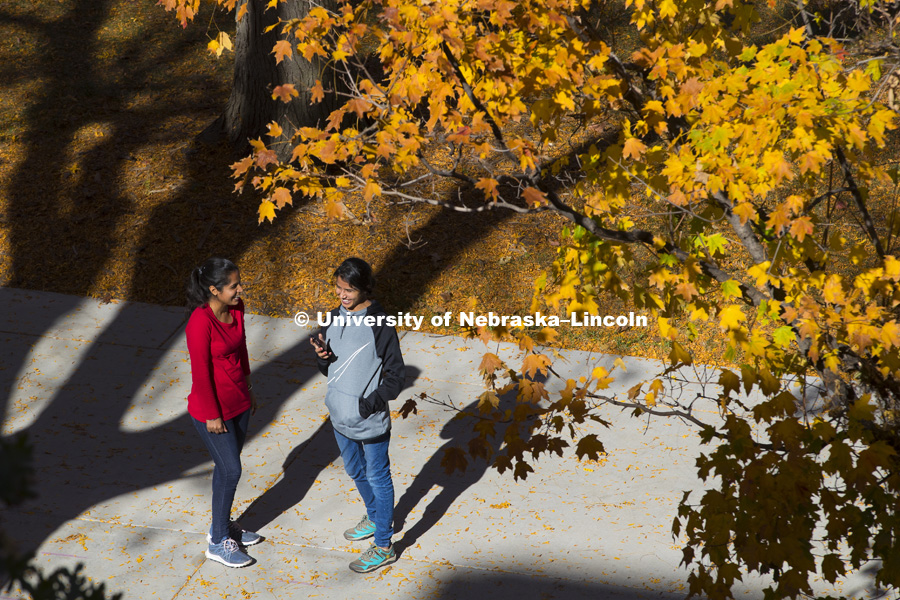 Manny Saluja and Jaspreet Sandhu, both graduate students in agronomy, talk on the sidewalk outside the east campus union Thursday. Fall photos on East Campus. November 3, 2016. Photo by Craig Chandler / University Communication Photography.