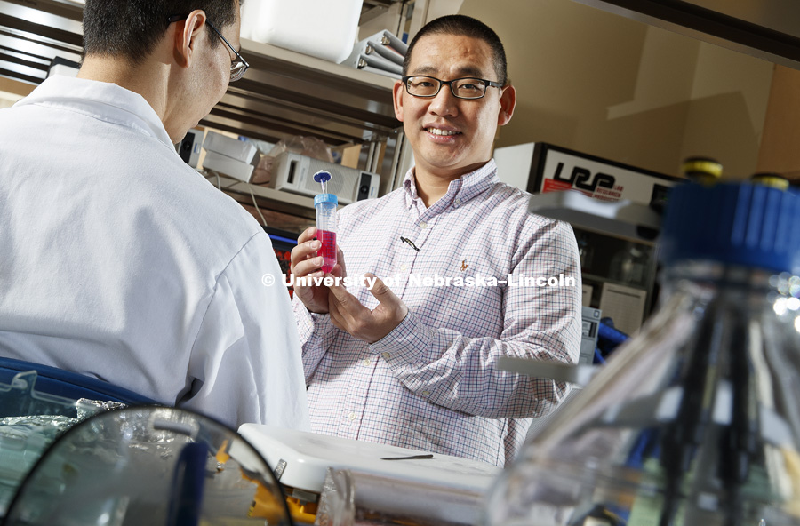 Yuguo Lei, holds part of the prototype system that could streamline and reduce the cost of growing and processing adult stem cells for the personalized treatment of various maladies that include stroke, Alzheimer's and spinal cord injury. He is shown in