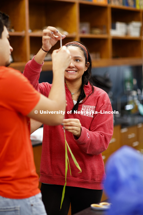 Angeanette Russert works to get air bubbles out of a water-filled tube connected to a plant as part of their group experiment to measure photosynthesis. Students in LIFE 121L - Fundamentals of Biology 2 Laboratory, taught by Altangerel "Auggie"