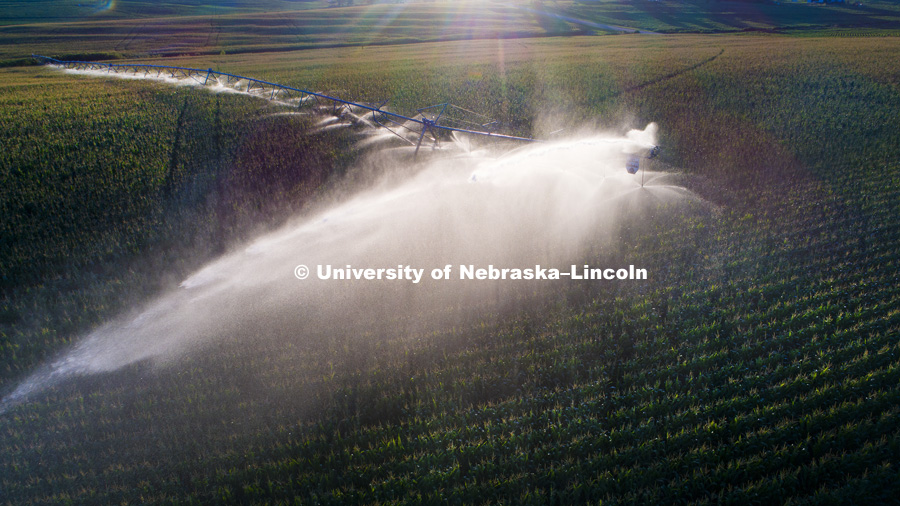 Center pivot irrigation northeast of Adams, Nebraska. July 16, 2017. Photo by Craig Chandler / University Communication.