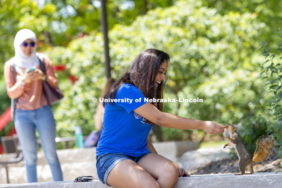 Manisha Kalaga feeds a squirrel an almond outside Love Library Friday. She says she feeds squirrels quite often and "they know me". June 12, 2017. Photo by Craig Chandler / University Communication.