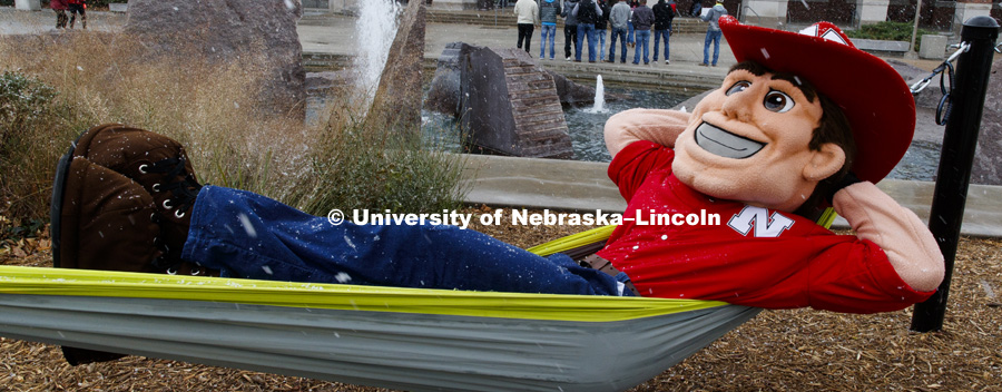 Herbie Husker hangs out in the new hammocks outside of the Nebraska Union on City Campus. October 31, 2017. Photo by Craig Chandler / University Communication.