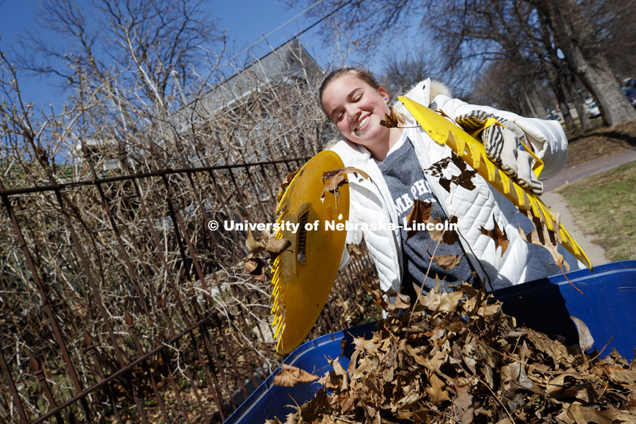 Amanda Lewis, Omaha, and her Gamma Phi Beta sorority sisters pick up leaves along P street during the Big Event. April 7,  2018. Photo by Craig Chandler / University Communication.