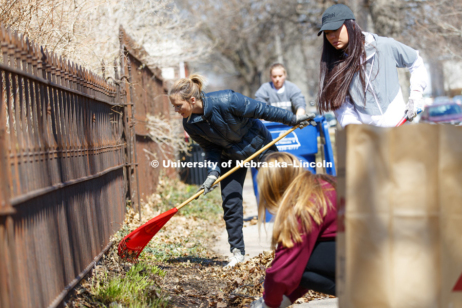 Keeleigh Thayn, Lincoln, and her Gamma Phi Beta sorority sisters rake leaves along P street during the Big Event. April 7,  2018. Photo by Craig Chandler / University Communication.