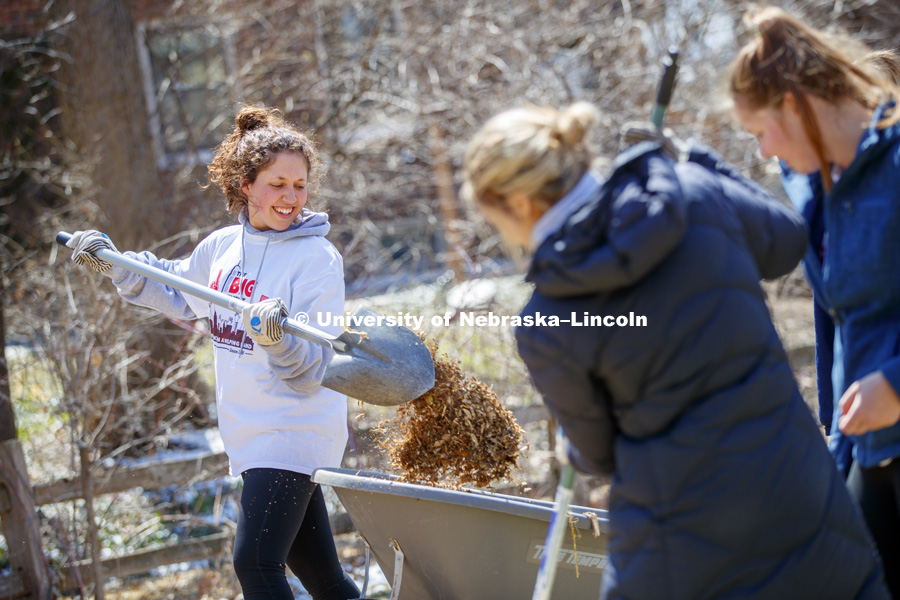 Tess Meyer and her Gamma Phi Beta sorority sisters dig into a huge pile of mulch along 37th Street during the Big Event. April 7,  2018. Photo by Craig Chandler / University Communication.