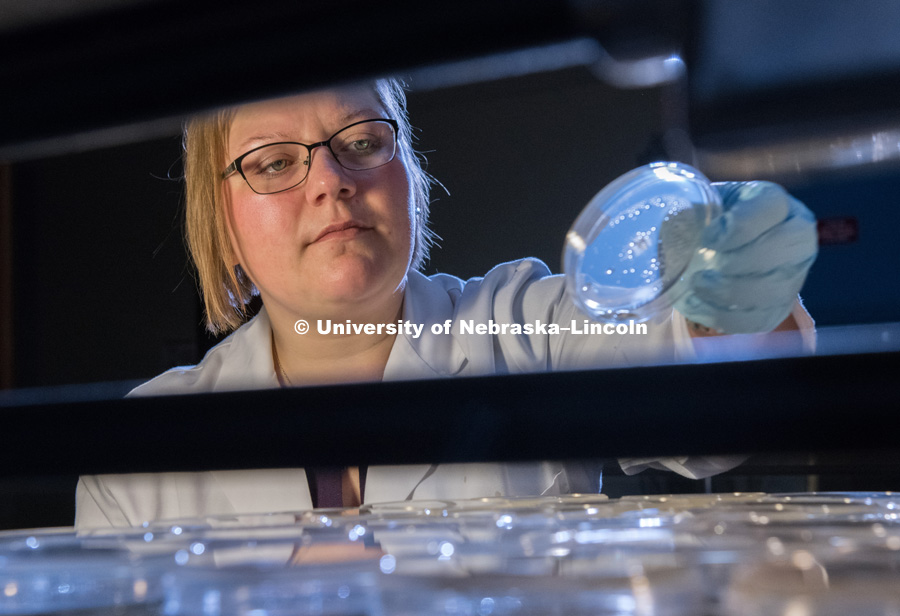Sydney Everhart, Assistant Professor of Plant Pathology. Sydney is pictured in her lab. Photo for the 2018 publication of the Strategic Discussions for Nebraska magazine. April 9, 2018. Photo by Greg Nathan, University Communication.