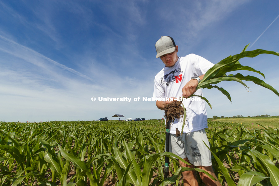 James Alfano Plant Science Innovation lab working on soil and root sampling in fields at ENREC. June 13, 2018. Photo by Craig Chandler / University Communication