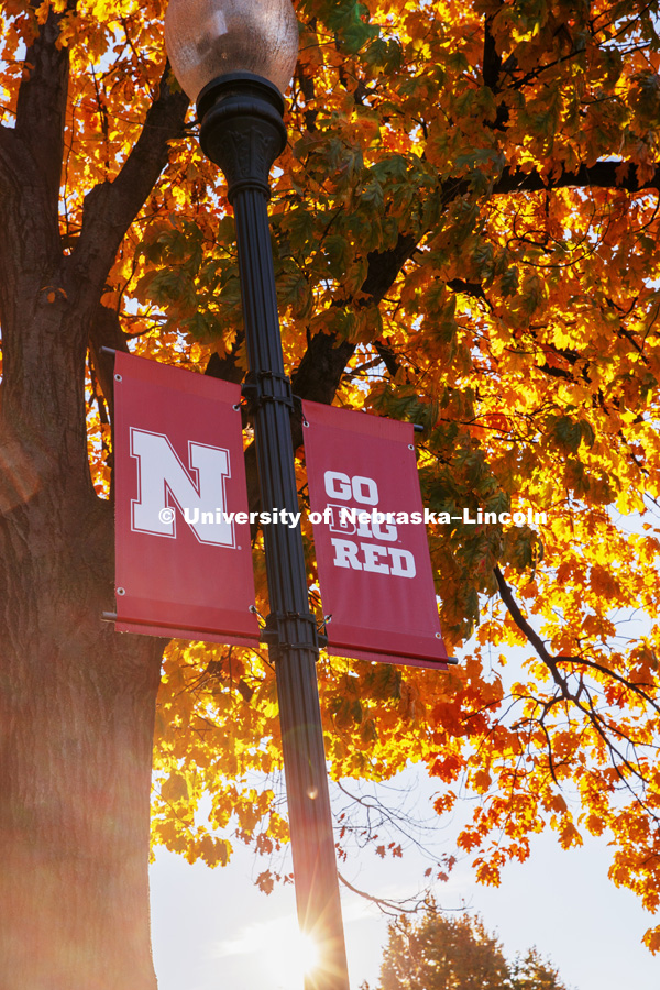 N Banners, Fall on City Campus. October 19, 2018. Photo by Craig Chandler / University Communication.