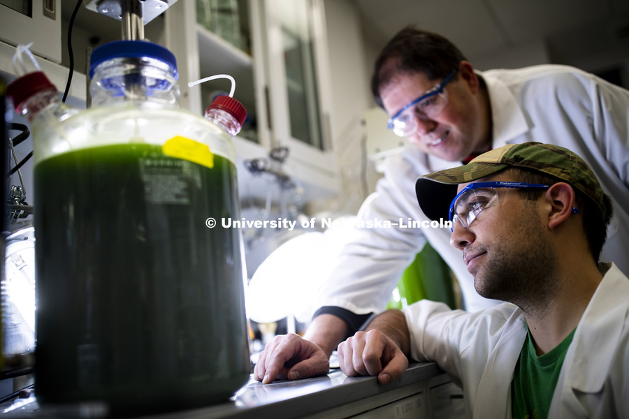 T.J. Nicodemus, graduate student from Lakeville, IN, and lab manager Mark Behrens, eyes the experiment using algae and certain wavelengths of light to remove nitrates from ground water in a Beadle Hall lab. December 3, 2018. Photo by Craig Chandler / University Communication.