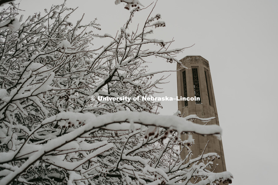 Snow covered trees frame Mueller Bell. January 12, 2019. Photo by Justin Mohling, University Communication.