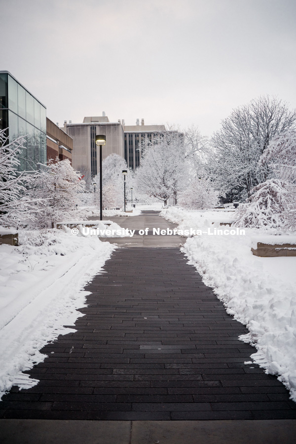 City campus covered in snow, brick walkway near Adele Learning Commons. January 12, 2019. Photo by Justin Mohling, University Communication.