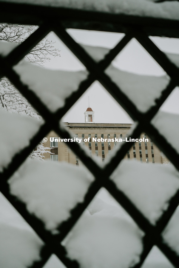 Love Library cupola framed in the snow covered lattice work of the fence. January 12, 2019. Photo by Justin Mohling, University Communication.