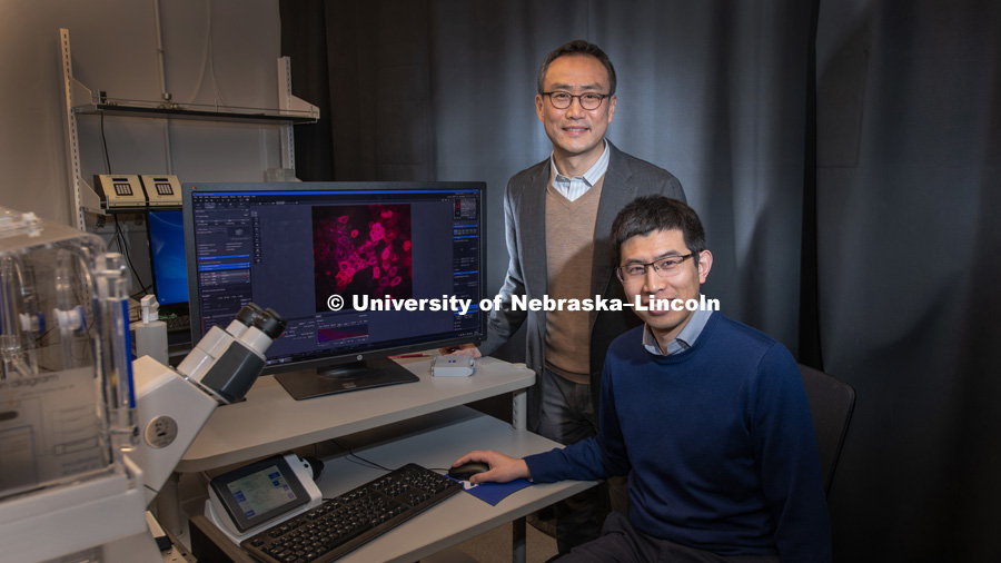 Research done by Ruiguo Yang (right), Jung Yul Lim (left), seeks to understand how individual cells communicate with each other as they respond to environmental changes. January 24, 2019. Photo by Greg Nathan / University Communication.