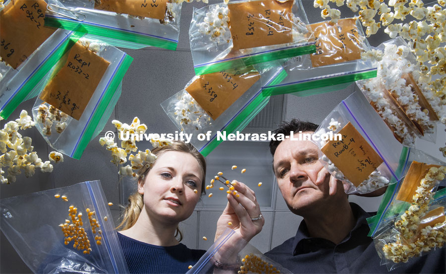 Nebraska's David Holding (right) and graduate student Leandra Marshall (left) are developing lines of popcorn featuring higher levels of lysine, an amino acid essential to the diets of humans and some livestock. They are studying the popped results of a new line of popcorn high in protein in in his lab in the Beadle Center. January 30, 2019. Photo by Craig Chandler / University Communication.