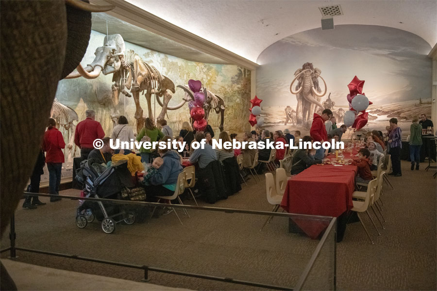 "Cherish Nebraska," a new exhibition on the fourth floor of the University of Nebraska State Museum in Morrill Hall. The grand opening opened to the public on February 16, 2019. Photo by Gregory Nathan / University Communication.