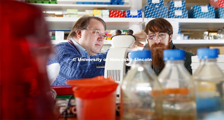 Peter Angeletti, Associate Professor, School of Biological Sciences, and Cameron Klein, graduate student in virology, have discovered a link between the HPV (Human papillomavirus) virus and how various bacteria effect its growth, a link between the cervical microbiome and whether women develop pre-cancerous lesions. February 18, 2019. Photo by Craig Chandler / University Communication.