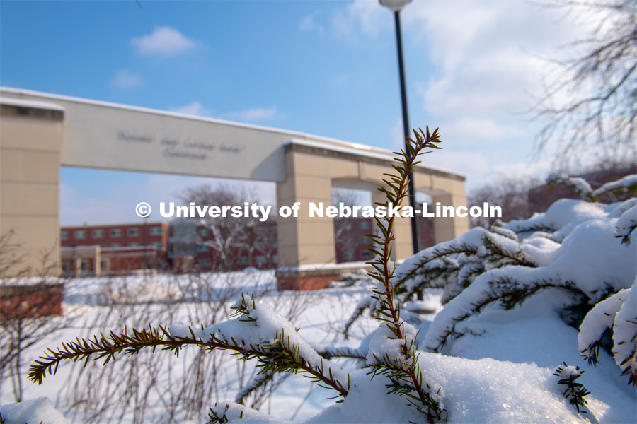 It’s a snowy day on City Campus. February 20, 2019. Photo by Gregory Nathan / University Communication.