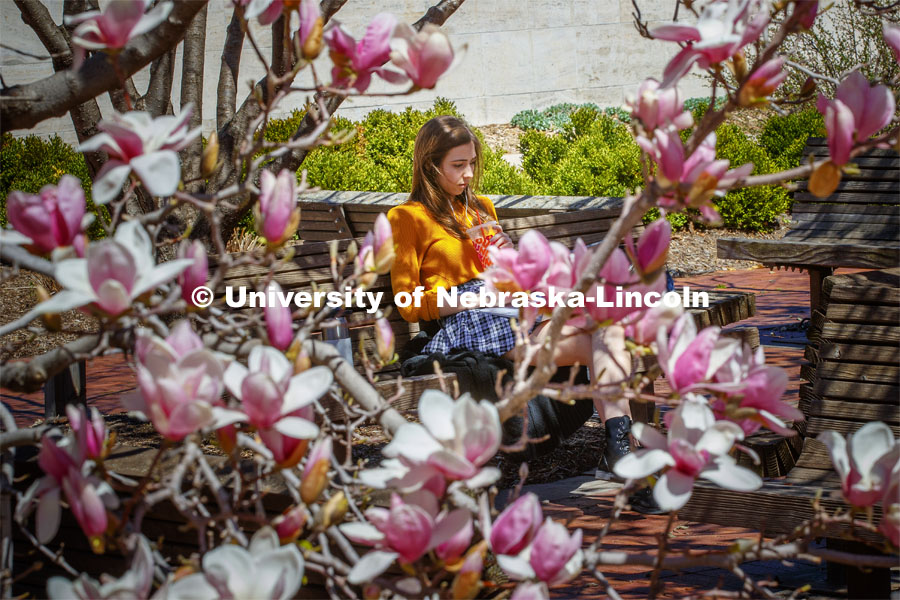 Olivia McCown, freshman from Lincoln, sits amongst the flowering trees by the Lied Center. Spring day on city campus as the temperatures reached the 80s. April 8, 2019. Photo by Craig Chandler / University Communication.