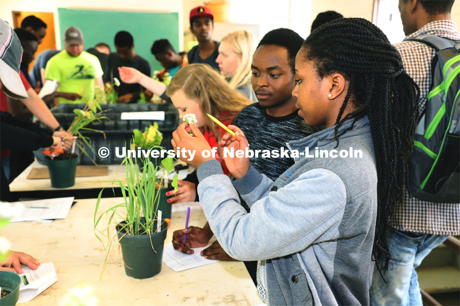 Various photos with Assistant Professor Andrea Basche, Agronomy and Horticulture. April 17, 2019. Photo by University of Nebraska.

190430 Andrea Basche