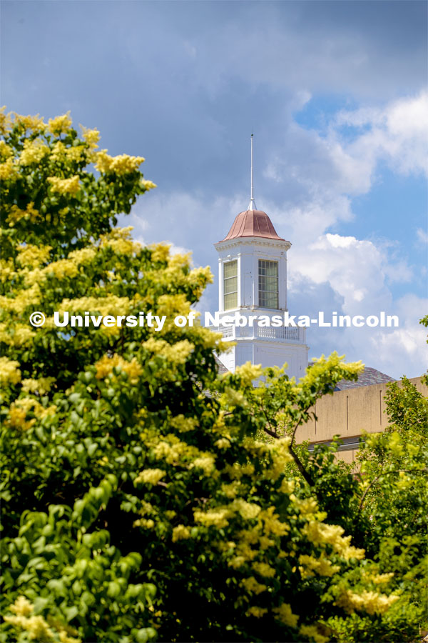 Love Library cupola, City Campus. June 12, 2019. Photo by Craig Chandler / University Communication.