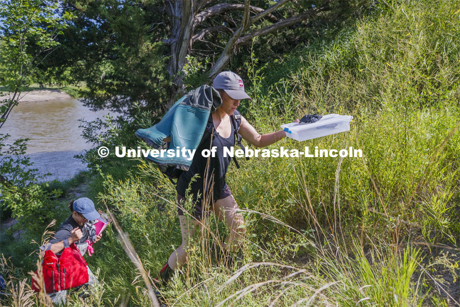 Kayla Vondracek and Sydney Kimnach work their way back from the Niobrara River after sampling a site. Jessica Corman, assistant professor in the School of Natural Resources, UCARE research group researching algae in the Niobrara River. Fort Niobrara National Wildlife Refuge. July 13, 2019. Photo by Craig Chandler / University Communication.