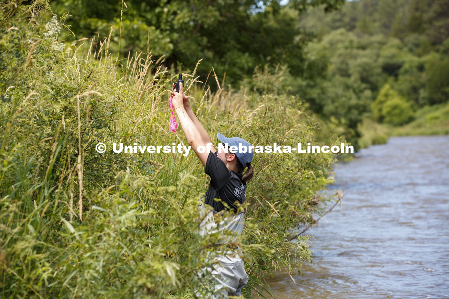 Sydney Kimnach, sophomore in environmental studies and fisheries and wildlife management, researches algae in the Niobrara River. Jessica Corman, assistant professor in the School of Natural Resources, UCARE research group researching algae in the Niobrara River. Fort Niobrara National Wildlife Refuge. July 13, 2019. Photo by Craig Chandler / University Communication.