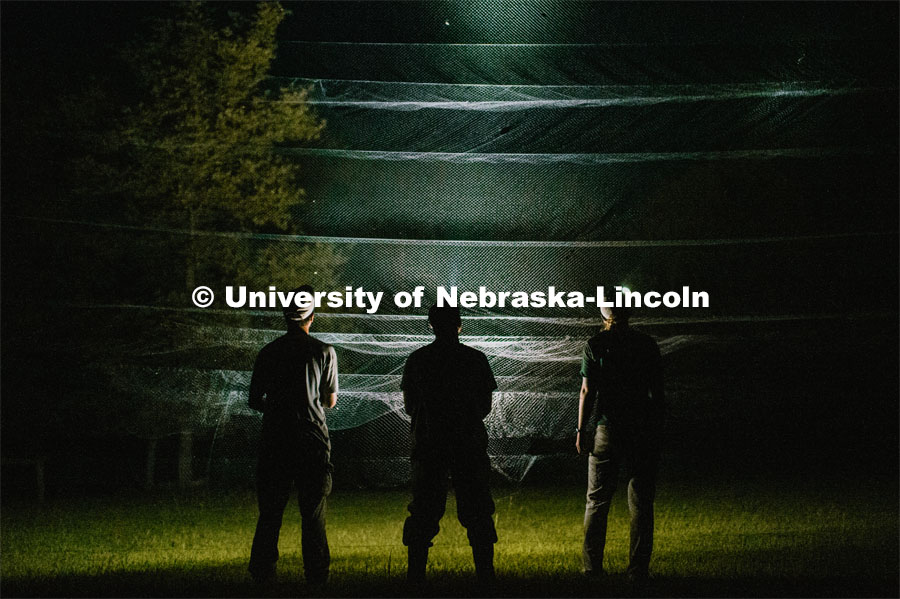 Nebraska graduate student Christopher Fill is studying the patterns of bats living at Homestead National Monument near Beatrice. Ben, Chris and Anna (From University of Idaho) standing in front of bat nets using their headlamps to illuminate the net. August 19, 2019. Photo by Justin Mohling / University Communication.