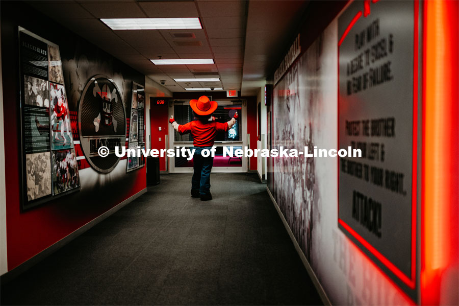 Herbie walking out the tunnel and slapping some luck. Herbie Husker photo shoot, pictured throughout Memorial Stadium. September 13, 2019. Photo by Justin Mohling / University Communication.