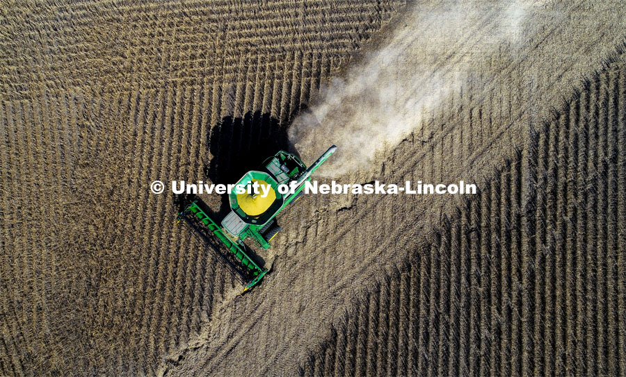 Combine harvests soybeans in southeast Lancaster County. October 26, 2019. Photo by Craig Chandler / University Communication.